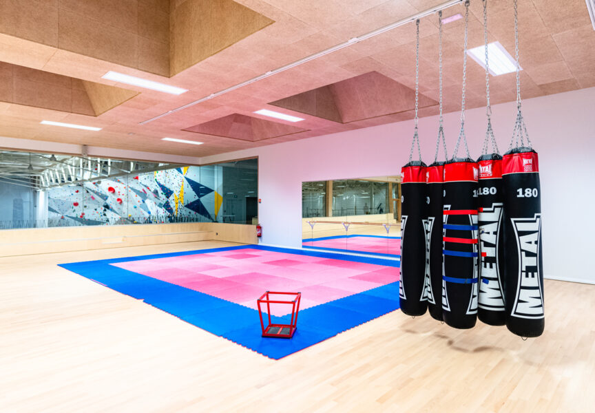 La salle dédiée aux sports d'opposition, à la Halle des Sports du Liffré.